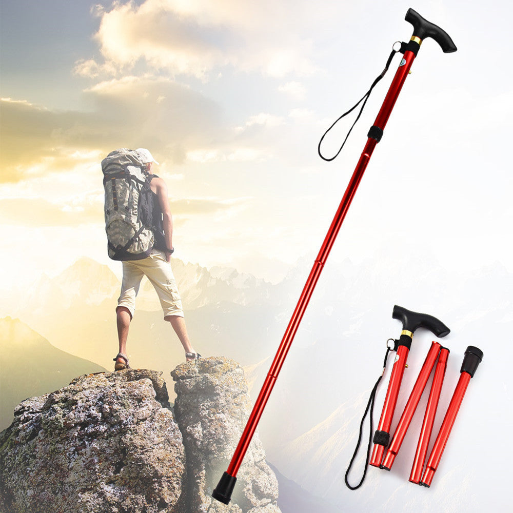 Hiking Walking Stick